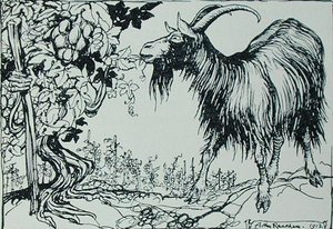 Koza i winorośl, ilustracja z „Bajek Ezopa”, wydanej przez Heinemann autorstwa Arthur Rackham