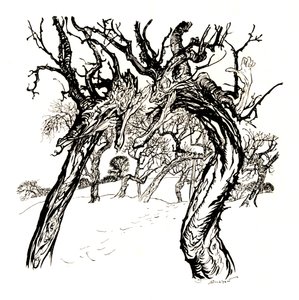 Szepczące drzewa, z półmiska jabłek, 1917, 1923 autorstwa Arthur Rackham