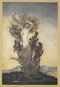 ... tak jak Daphne była związana z korzeniami, która uciekła z Apollo”. autorstwa Arthur Rackham