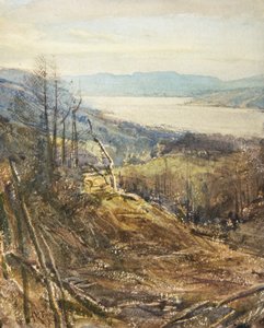 Coniston z okolic Tarn Hows (akwarela)