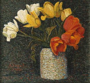 tulipan; Tulipany