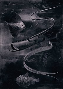 Ryby głębinowe (lito) autorstwa Arthur Twidle