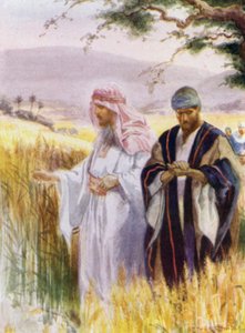 Jezus i jego uczniowie na polu kukurydzy (kolor lito)