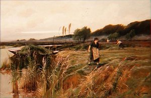 Letnie żniwa
