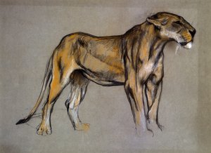Lwica, ok. 1900 (pastel na szarym papierze) autorstwa Arthur Wardle