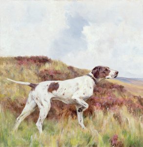 Wskaźnik (olej na pokładzie) autorstwa Arthur Wardle