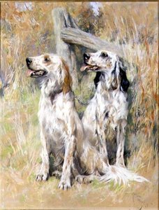 Setery angielskie przez Stile autorstwa Arthur Wardle