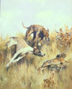 Greyhounds Giving Chase (gwasz na papierze)