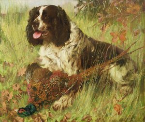 Springer spaniel z bażantem autorstwa Arthur Wardle