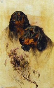 Dwa Setery Gordona (olej na płótnie) autorstwa Arthur Wardle