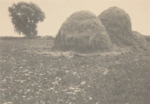 Stogi siana, Ipswich, ok. 1894 (zdjęcie)