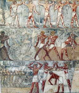 Sztuka Egiptu: scena rolnicza, VI dynastia autorstwa Artist Unknown