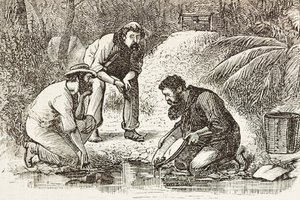 Australia (1880). Życie poszukiwaczy złota w Botany Bay (założonej w 1788 roku). Rycina. Kolekcja prywatna autorstwa Artist Unknown
