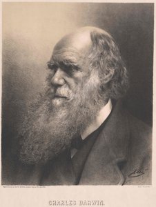 Karol Darwin autorstwa Artist Unknown