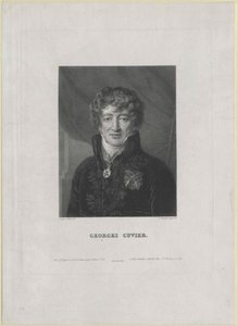 Georg Cuvier (druk) autorstwa Artist Unknown