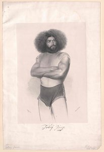 Janos Toldy autorstwa Artist Unknown