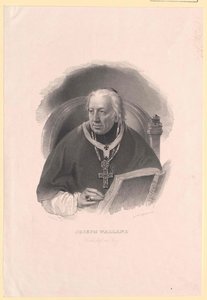 Joseph Walland autorstwa Artist Unknown