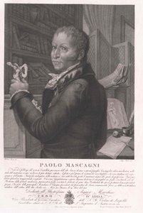 Paolo Mascagni autorstwa Artist Unknown