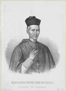 Pietro Luigi Speranza autorstwa Artist Unknown