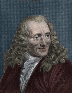 Portret Woltera