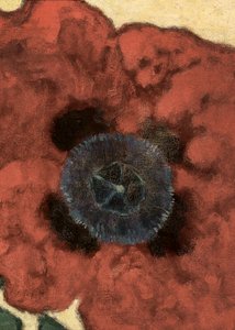 Artur Nikodem Poppy Flower autorstwa Artur Nikodem