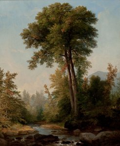 Naturalny monarcha autorstwa Asher Brown Durand