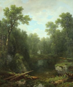 Chapel Pond Brook, Keene Flats, Adirondack Mountains, Nowy Jork, 1871