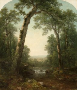 Leśny strumień z widokiem autorstwa Asher Brown Durand