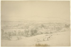 Krajobraz, Barrytown, Nowy Jork, 1865 (grafit z kikutami na brązowym papierze)