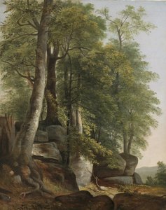 Krajobraz ze skałami i drzewami, ok.1845 autorstwa Asher Brown Durand