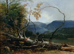 Stratton Notch, Vermont autorstwa Asher Brown Durand