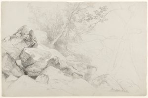 Study of Rocks with Trees, Haga, Lake George, Nowy Jork, 1862 (grafit na szarym papierze) autorstwa Asher Brown Durand