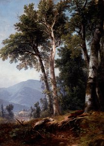 Krajobraz leśny, ok. 1850 (olej na płótnie) autorstwa Asher Brown Durand