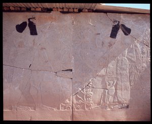 Widok płaskorzeźby, IX-VII w p.n.e autorstwa Assyrian