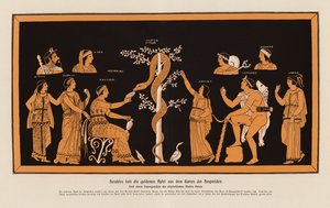 Herakles kradnący złote jabłka z Ogrodu Hesperyd (kolorowa litografia) autorstwa Asteas Asteas