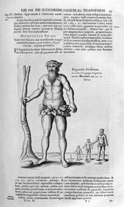 Przedpotopowi giganci, 1678.