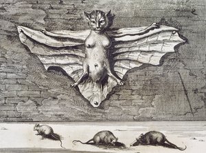 Latający Kot, 1667 autorstwa Athanasius Kircher