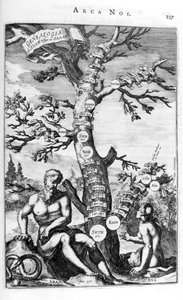 Drzewo genealogiczne Adama, 1675. autorstwa Athanasius Kircher