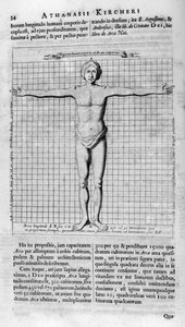 Proporcje człowieka, 1675 autorstwa Athanasius Kircher