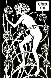 hermafrodyta wśród róż z Le morte d
