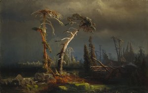 Rising storms - ginący prastary las w burzach (olej na płótnie)