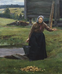 Mycie ziemniaków
