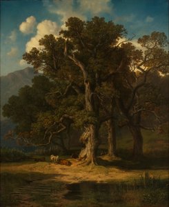 leśny krajobraz autorstwa August Maximilian Zimmermann