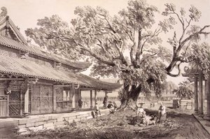 Świątynia Buddy na przedmieściach Honan w Kantonie, tablica 24 ze „Szkiców Chin”, rytowana przez Eugene Ciceri (1813-90) 1842 (podbarwiony lit)