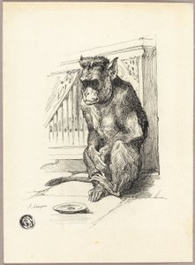 Żebrząca małpa autorstwa Auguste Andre Lancon