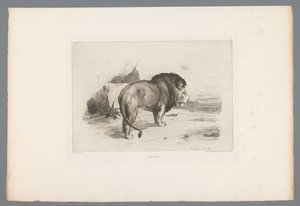Lew Un vieux lew (tytuł na obiekcie) akwaforty francuskie z 1874 r. (tytuł serii) L