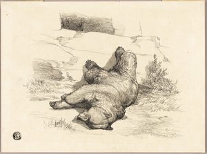 Rosyjski niedźwiedź autorstwa Auguste Andre Lancon