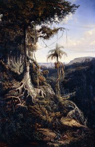 Las Jala-Jala