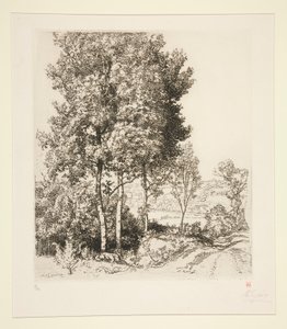Dolina Petit Morin niedaleko Verdelot (Seine-et-Marne) (Mała dolina Morin niedaleko Verdelot [Seine-et-Marne]) autorstwa Auguste Lepere