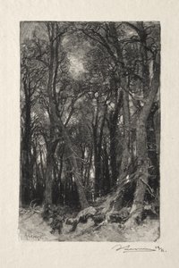 Le Bas-Beau autorstwa Auguste Louis Lepère